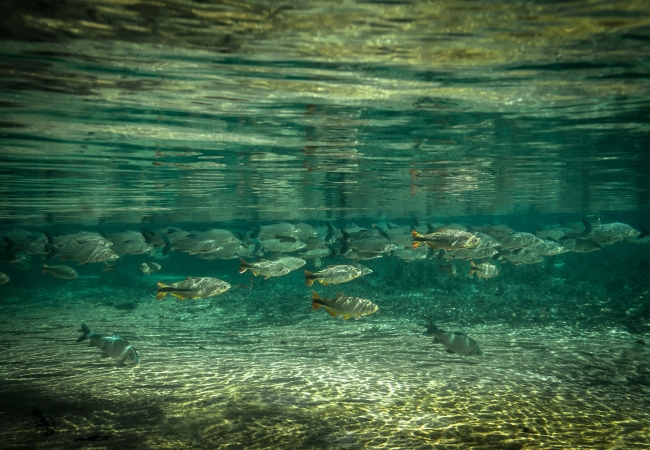 Bonito, Mato Grosso do Sul