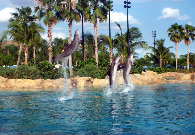 Discovery Cove