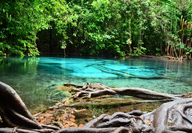 Lagoa Brasileira